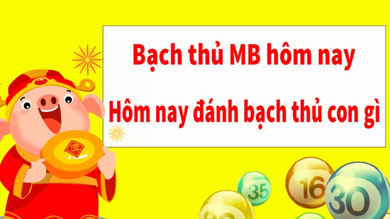 Thống kê cầu bạch thủ mới nhất trên XS88.biz